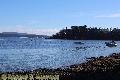 Chemainus Orcas